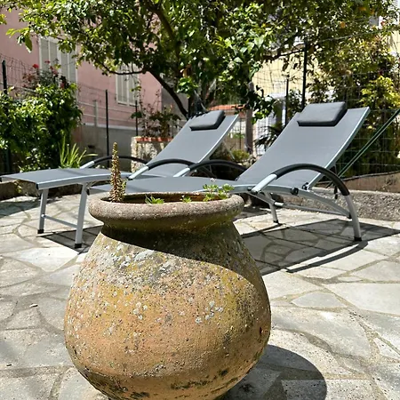 Avec Jardin - Le Citronnier