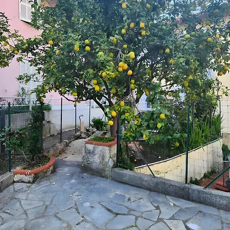 Apartment Avec Jardin - Le Citronnier *