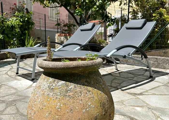 Avec Jardin - Le Citronnier