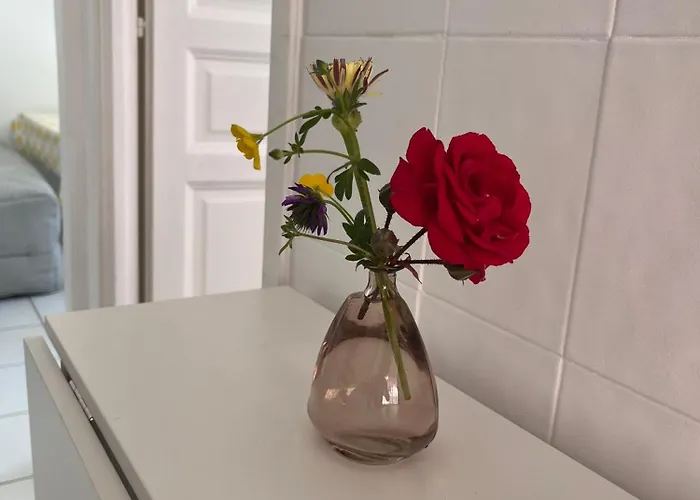 Avec Jardin - Le Citronnier * Μεντόν